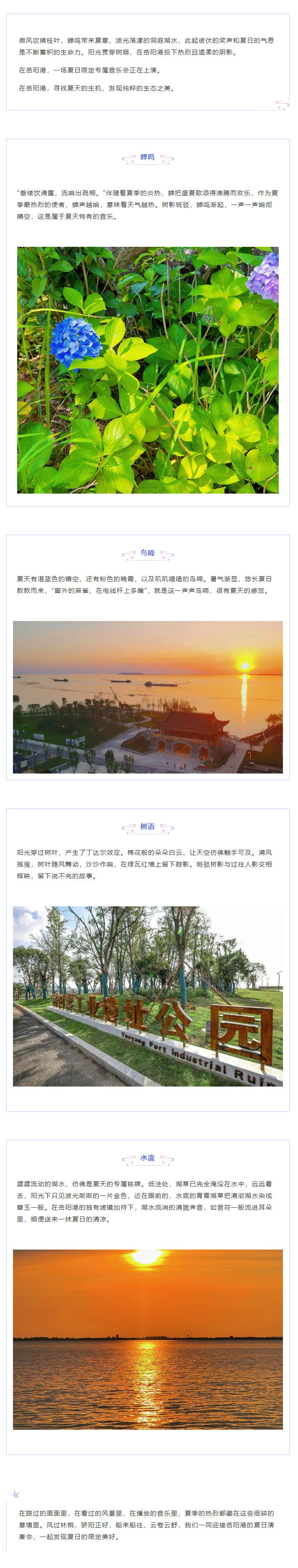 【夏日演奏會(huì)】在岳陽(yáng)港，聆聽(tīng)夏天的聲音.png